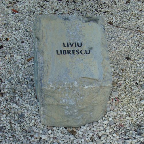 Liviu Librescu